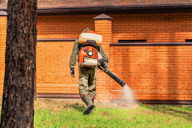 Trusted Cockroach Control service in Churchville, NY - Nex Pest Control